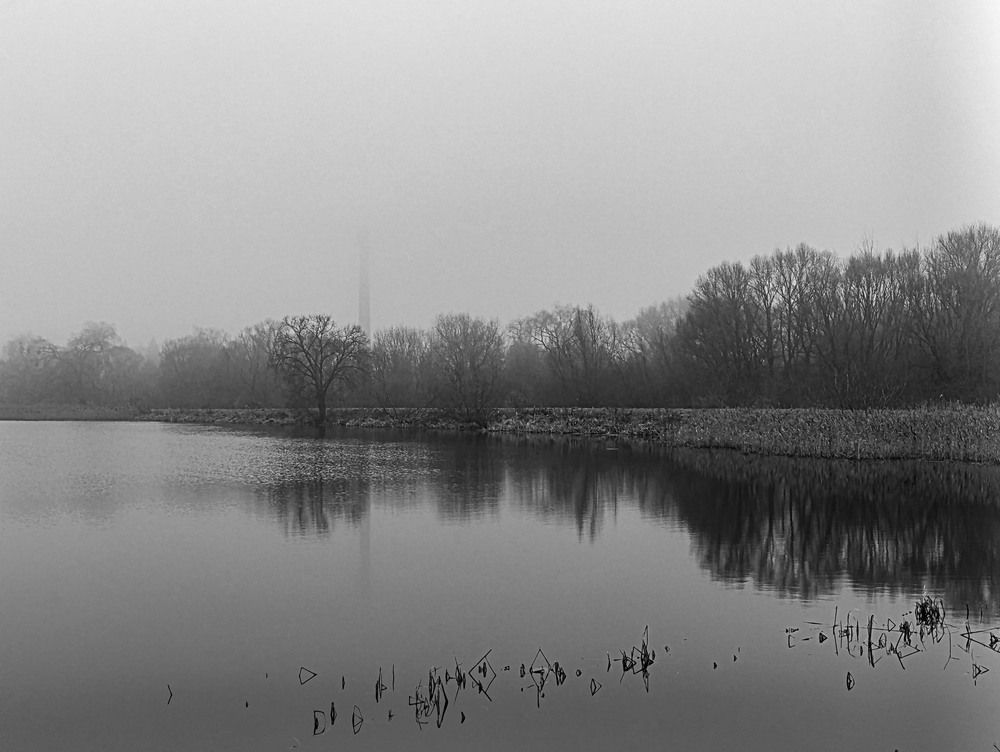 Photograph by Мария Самолевич