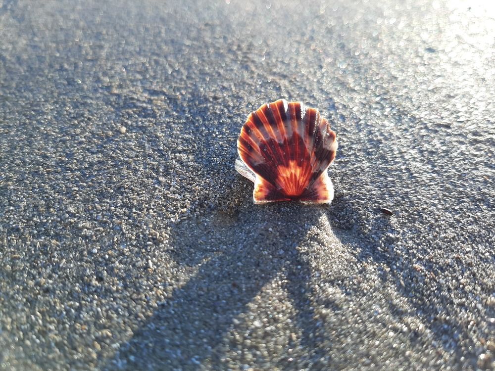 Photograph by Ольга Рыбникова