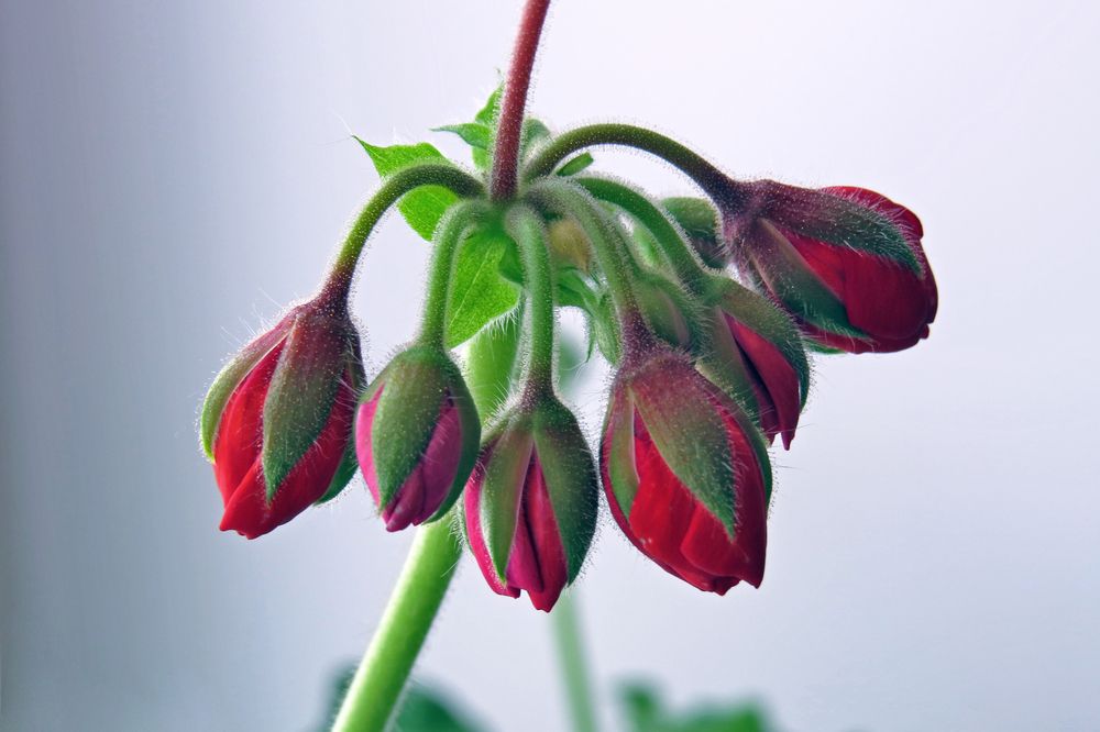 Photograph by Наташа Фишер