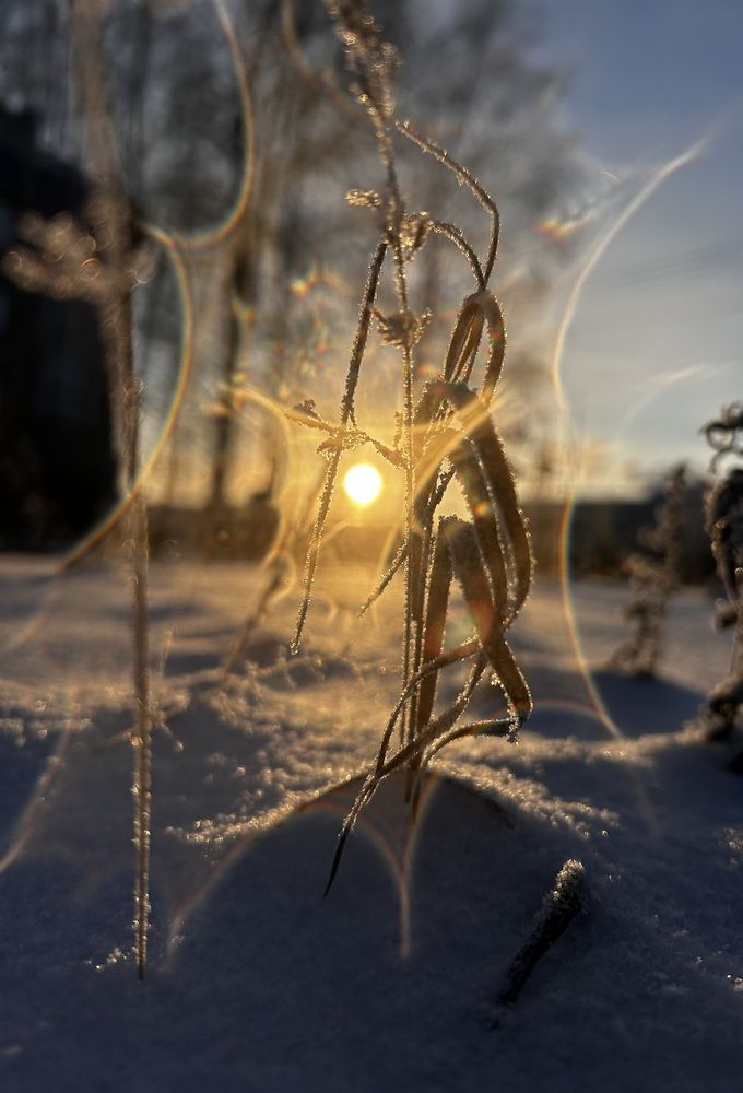 Photograph by Кристина Данилина
