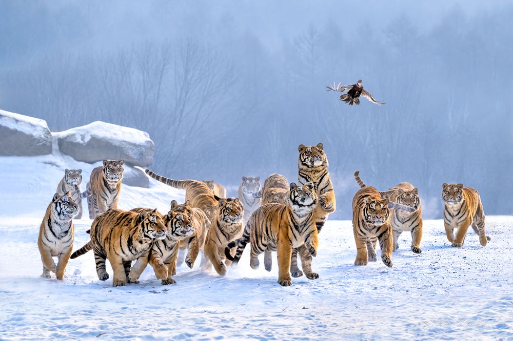 Photograph by Николай Мозгунов