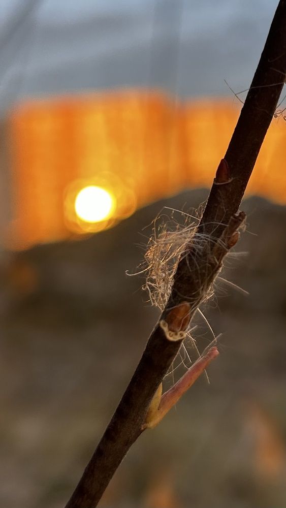 Photograph by Кристина Данилина