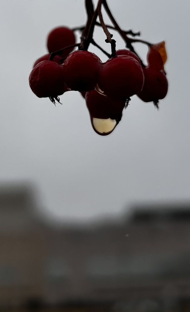 Photograph by Кристина Данилина