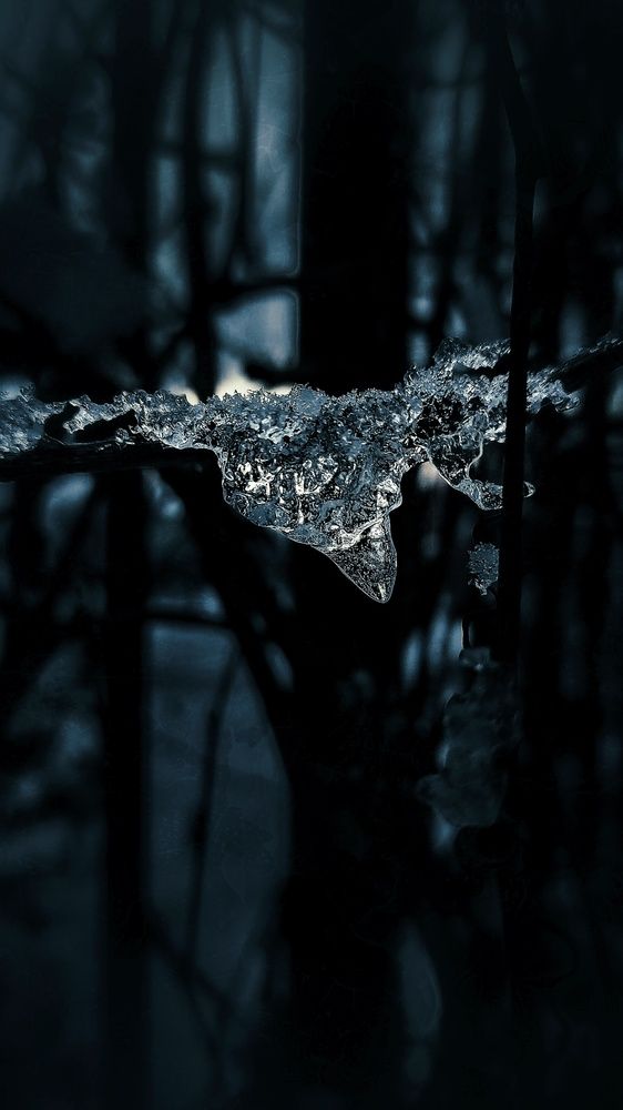 Photograph by Елена Гостева