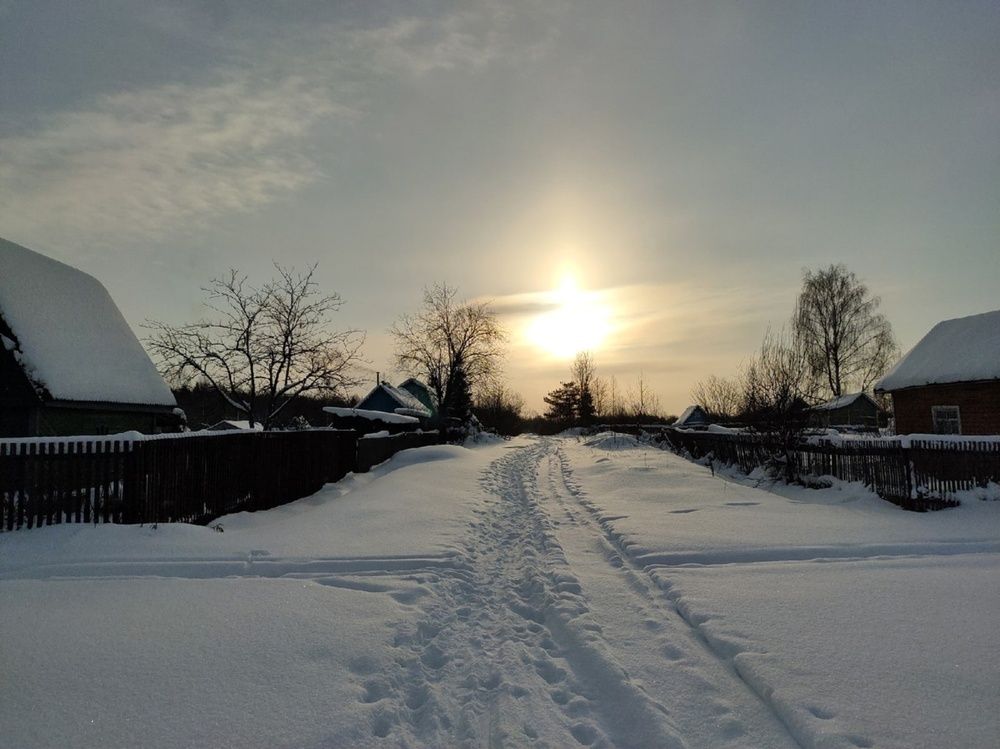 Фотография автора Елена Баранова