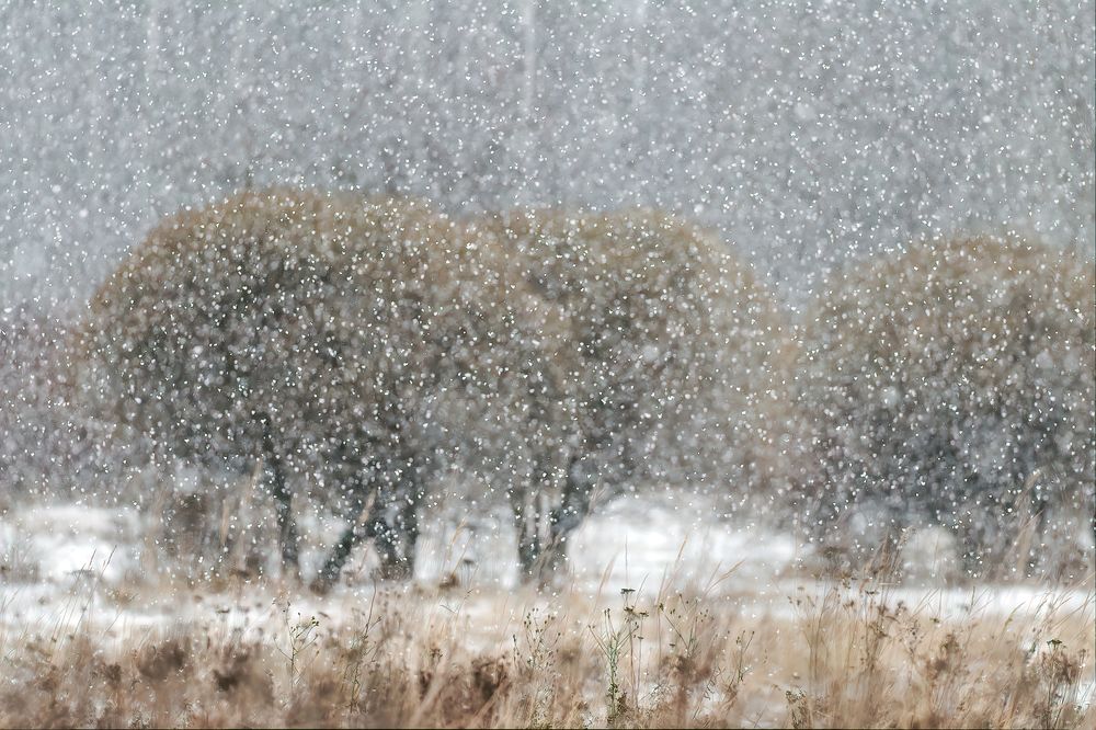 Фотография автора Mariya Belyalova