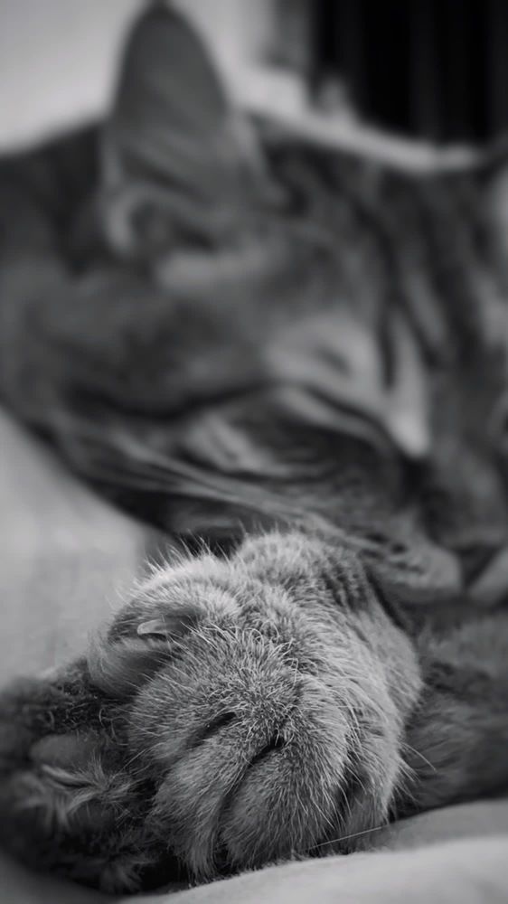 Photograph by Валерия Дорогова