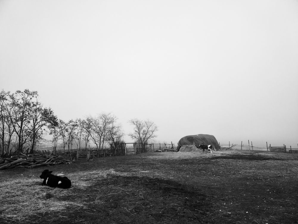 Photograph by Олег Алексеев