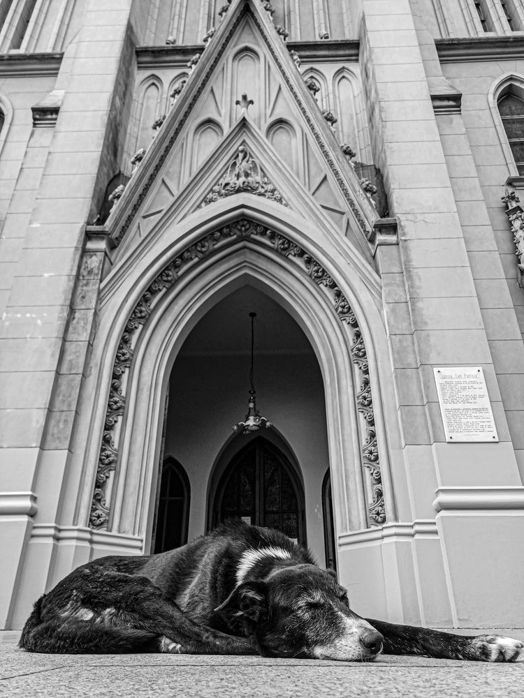 Photograph by Ricardo Kimmich