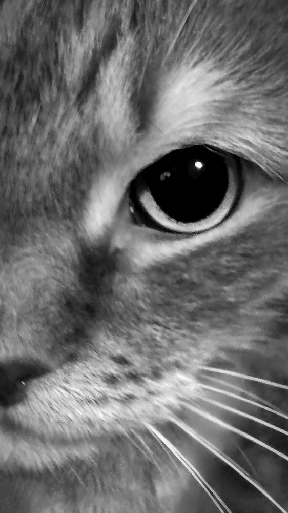 Photograph by Валерия Дорогова