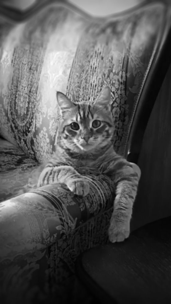 Photograph by Валерия Дорогова