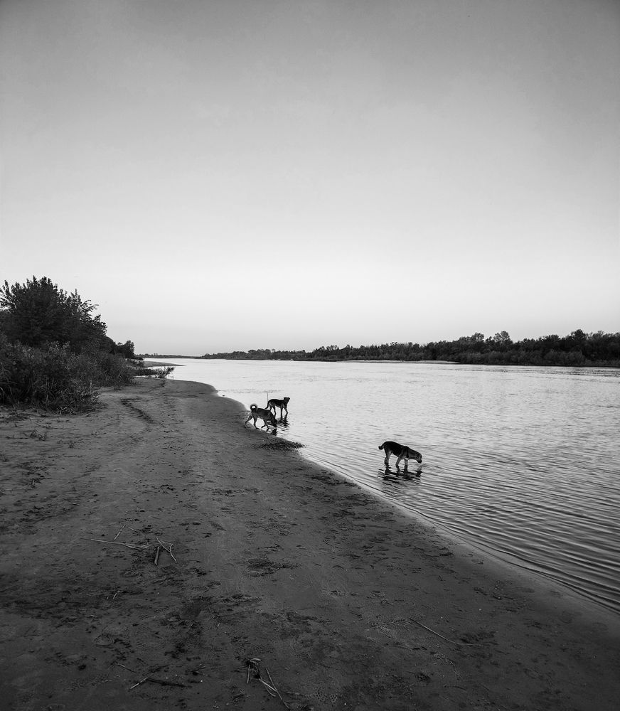 Photograph by Олег Алексеев