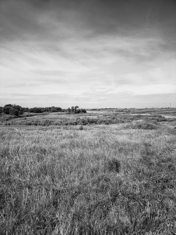 Photograph by Олег Алексеев