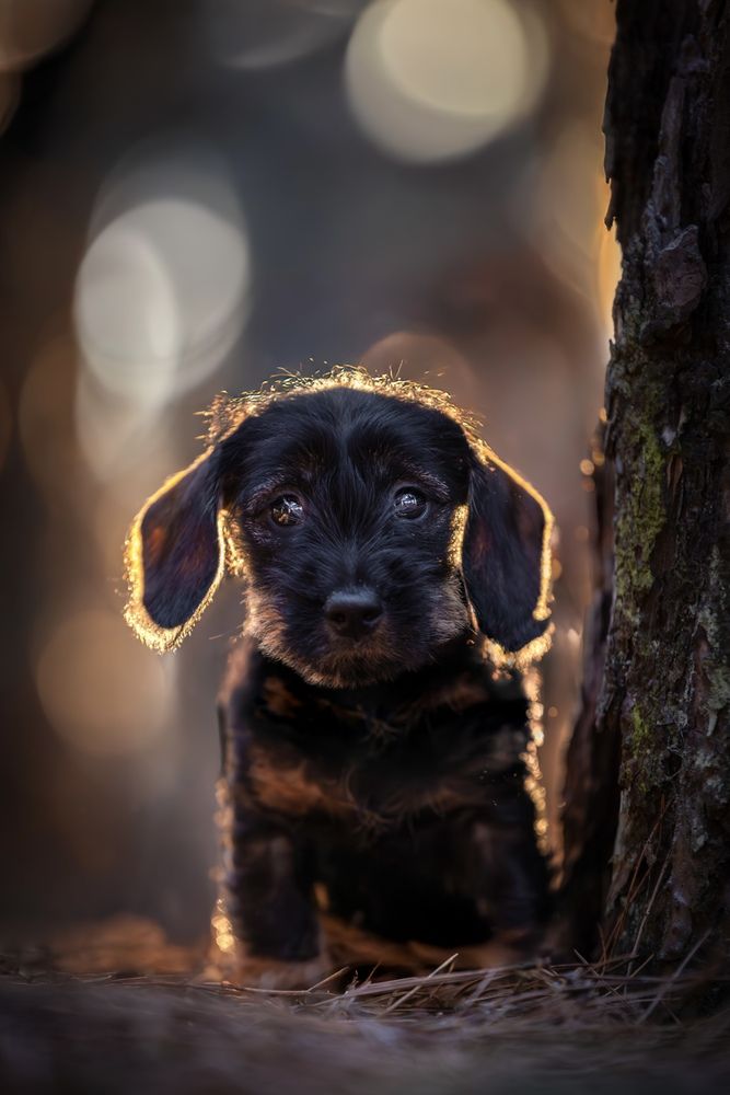 Photograph by Shanna van Mens