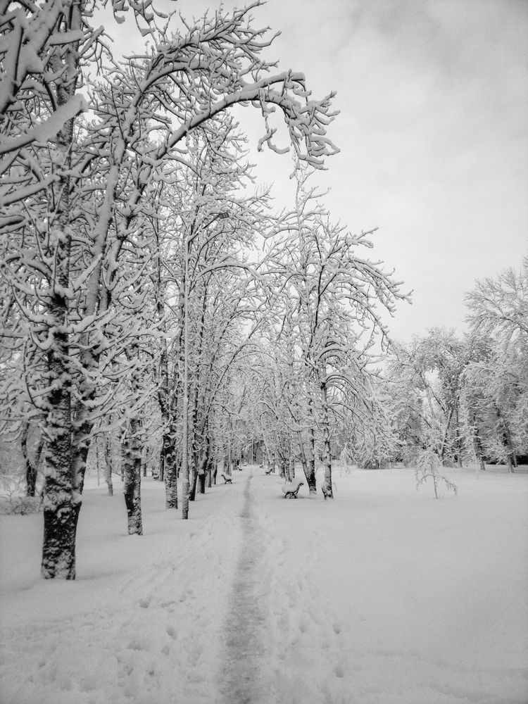 Photograph by Олег Алексеев