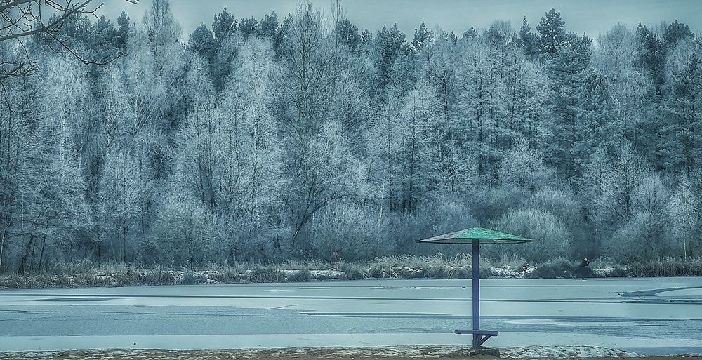 Фотография автора Максим Светличный