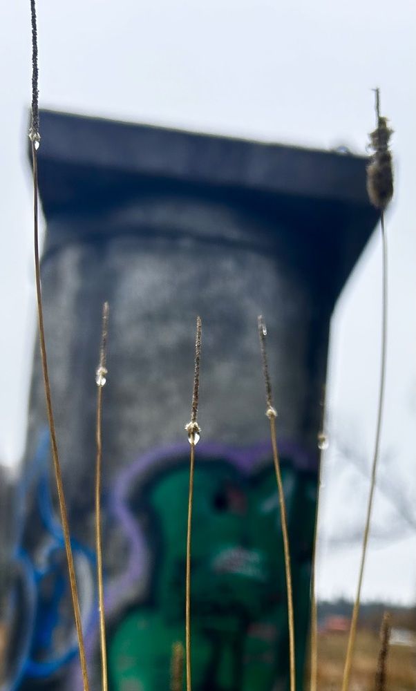 Photograph by Кристина Данилина