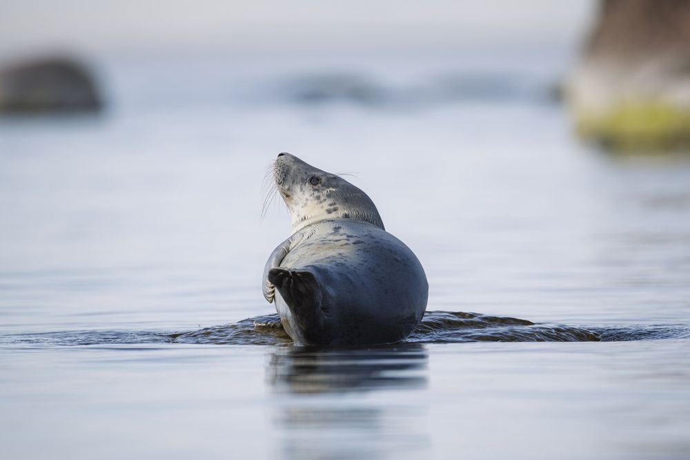 На исходе дня