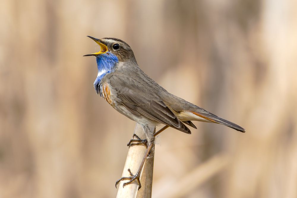 Photograph by Вера Машина