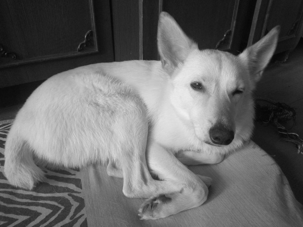 Photograph by Юлия