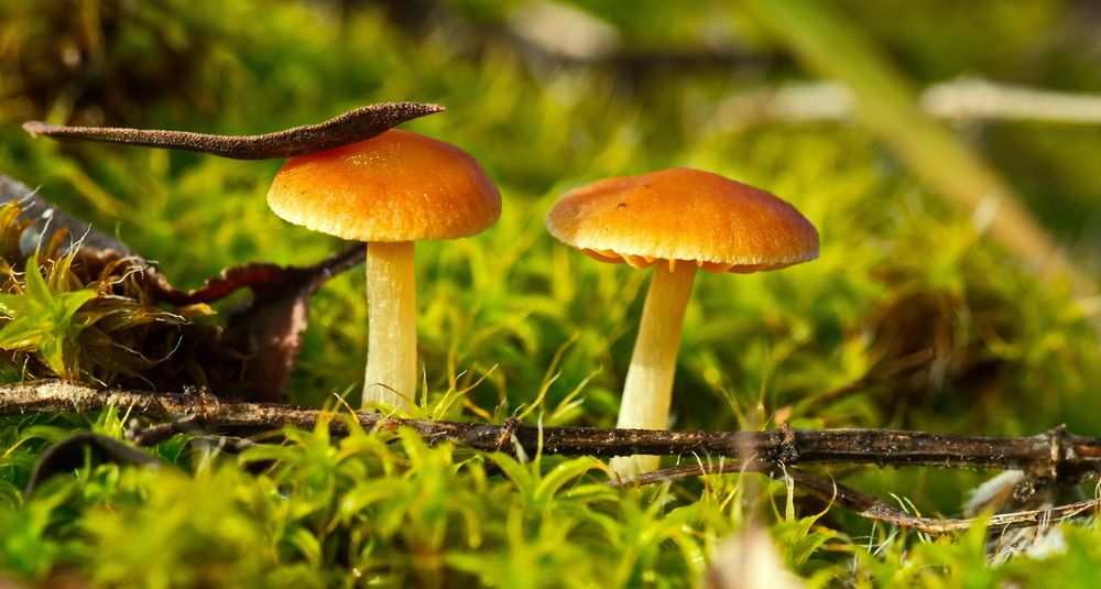 Photograph by Александр