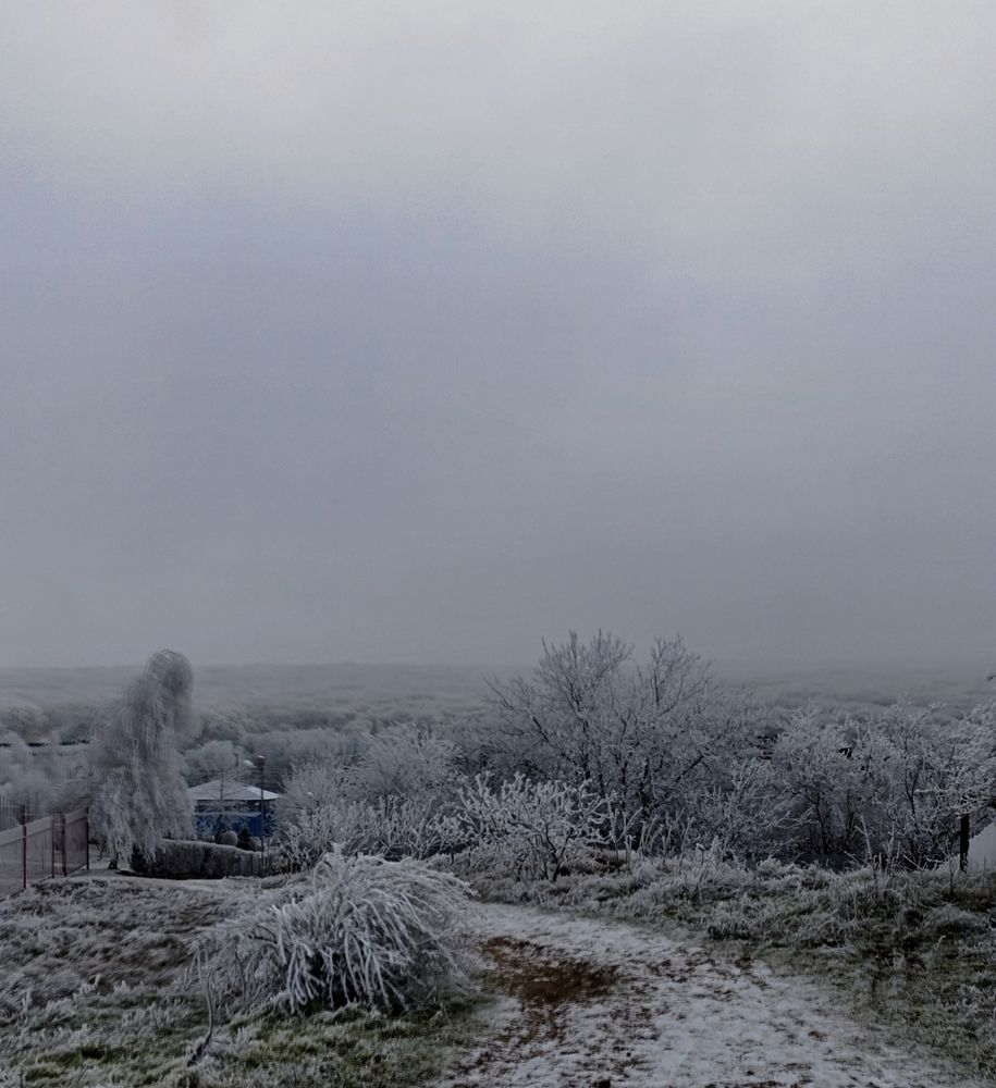 Photograph by Валерия