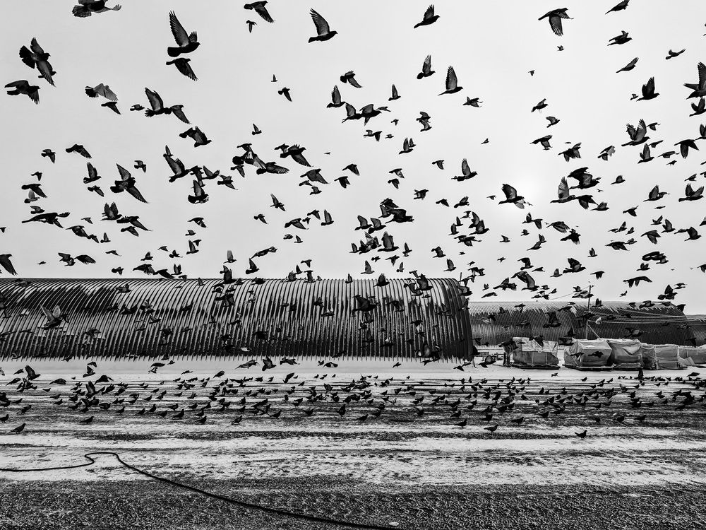 Photograph by Акрамов Данил