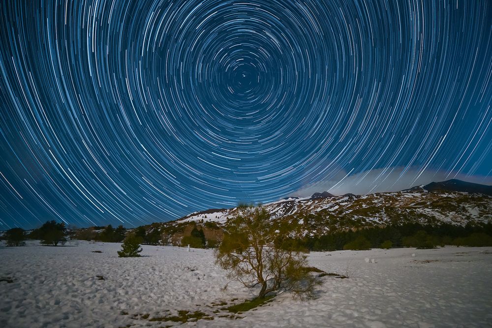 Photograph by Massimo Tamajo