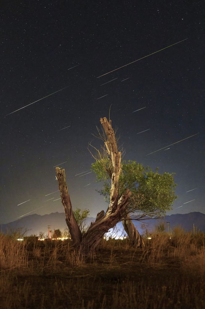 Photograph by Hamid espanani