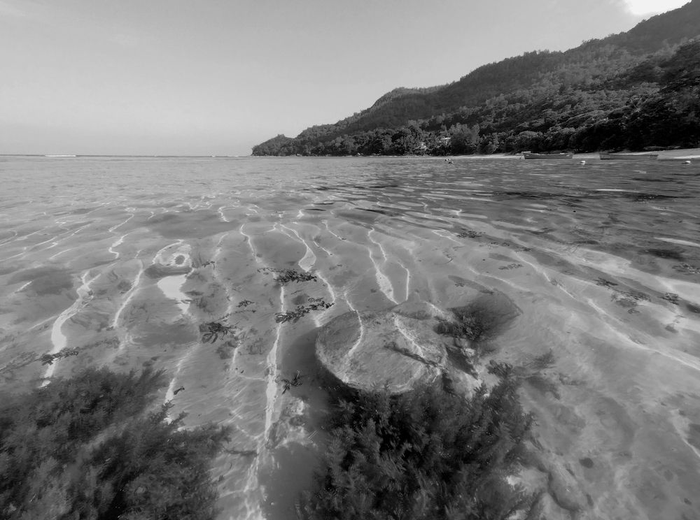 Photograph by Vasilii Martynov