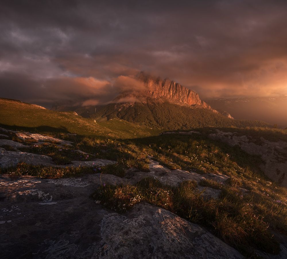 Photograph by Александр Дударев