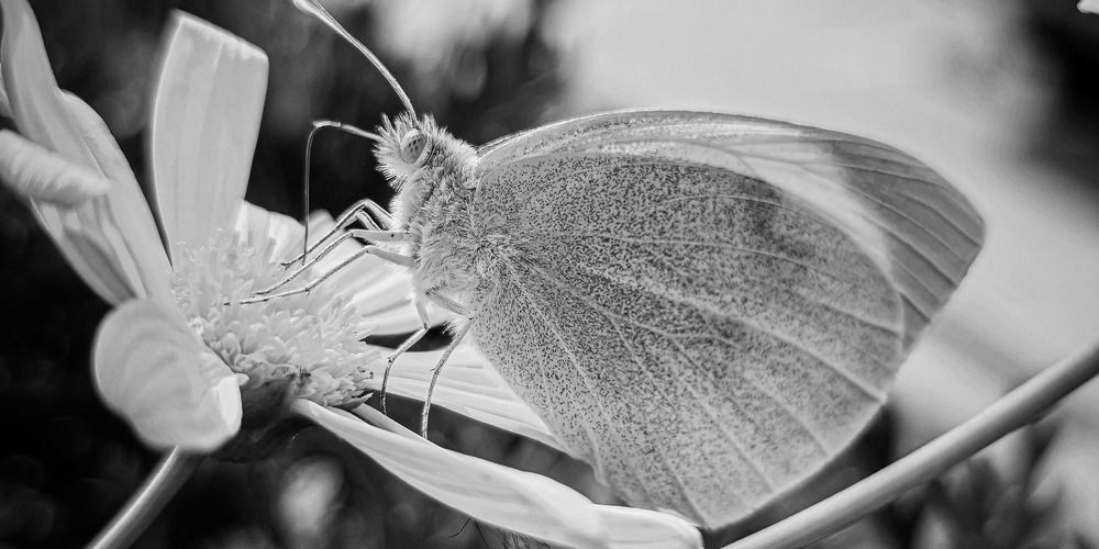 Posando mientras te observo