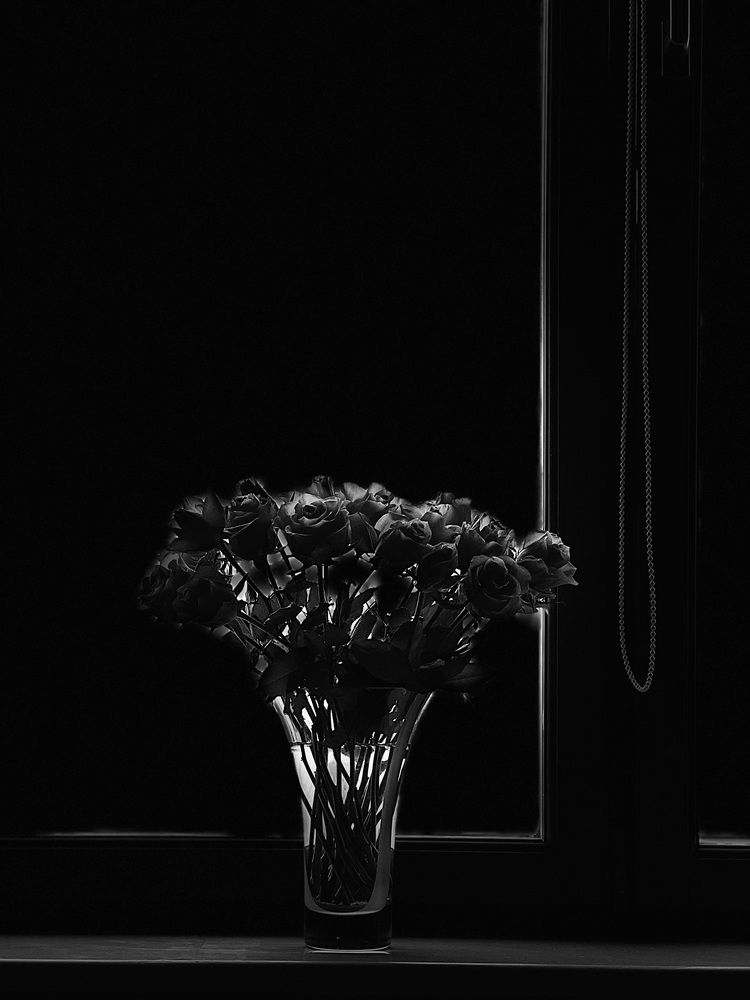 Photograph by Ирина Барышева