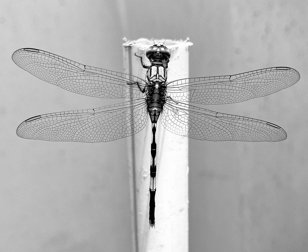 Фотография автора Gaurav Khosla