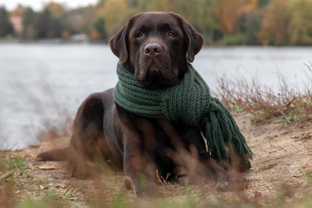 Photograph by Наталья Носова (Кучеренко)