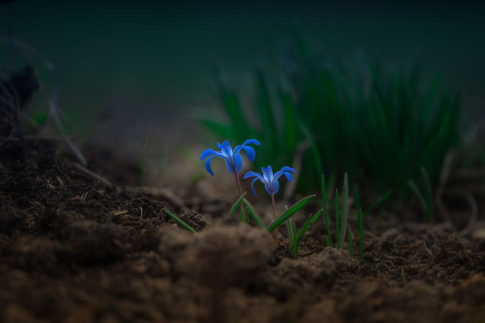 Photograph by Дмитрий Кудрявцев