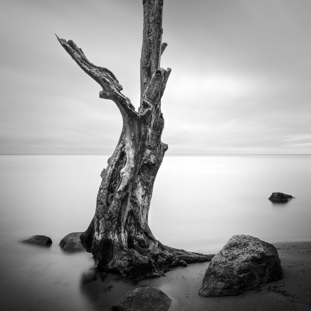 Photograph by Tomasz Dunajski