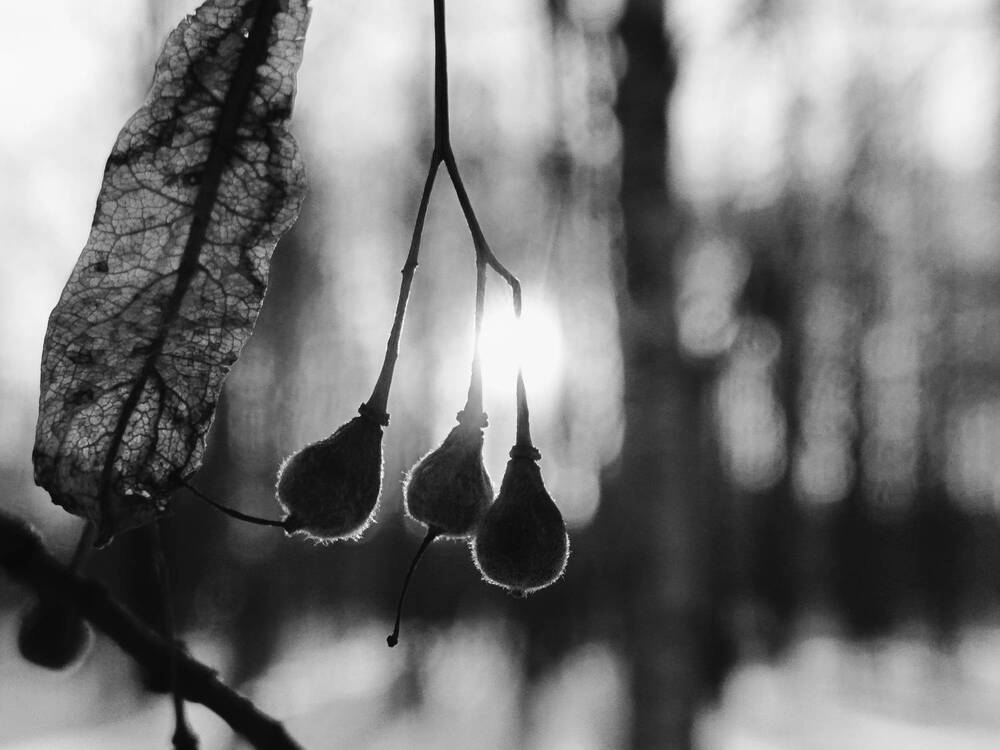 Photograph by Татьяна Бешенкина