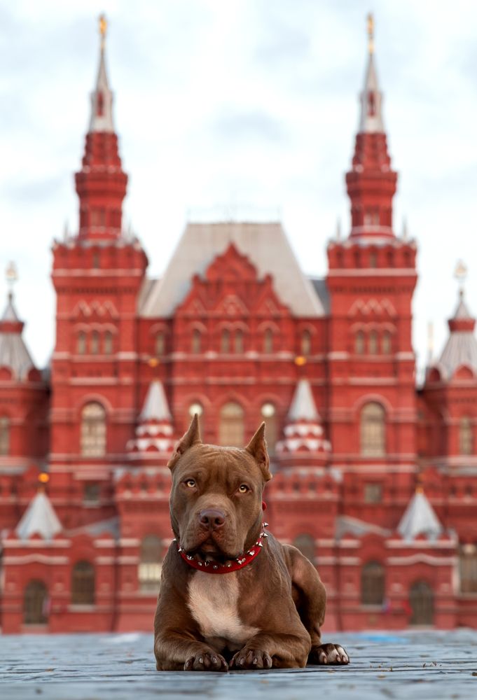 Photograph by Наталья Носова (Кучеренко)