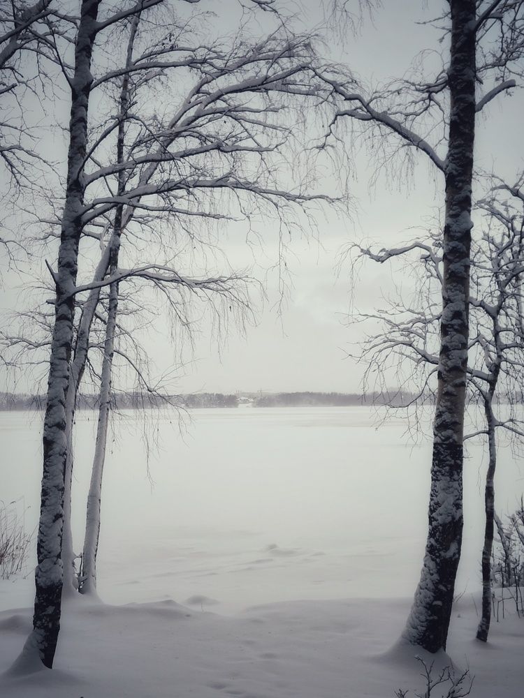 Photograph by Anastasia Uraeva
