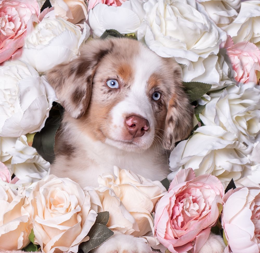 Photograph by наталья залогина