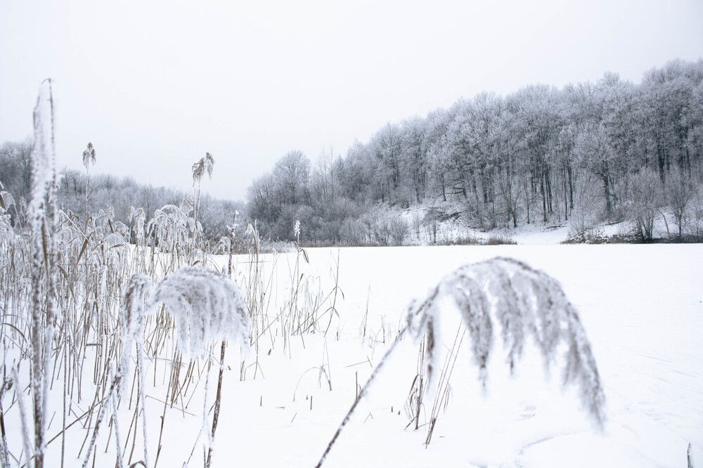 Photograph by Игорь Симонов