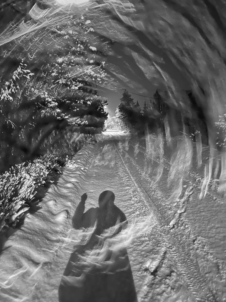 Фотография автора Alina Efimova