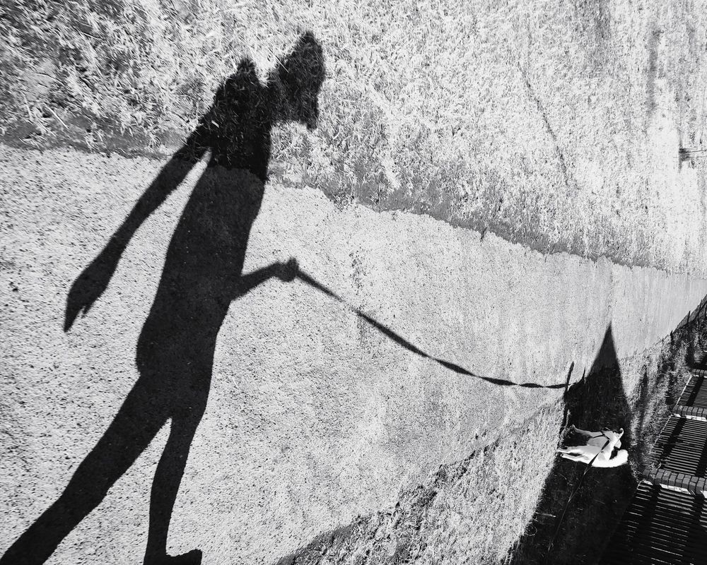 Фотография автора Татьяна Могилевец