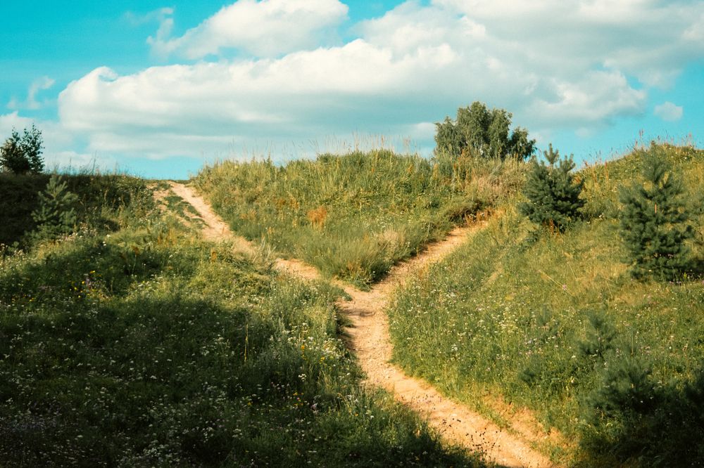 Fork in the road