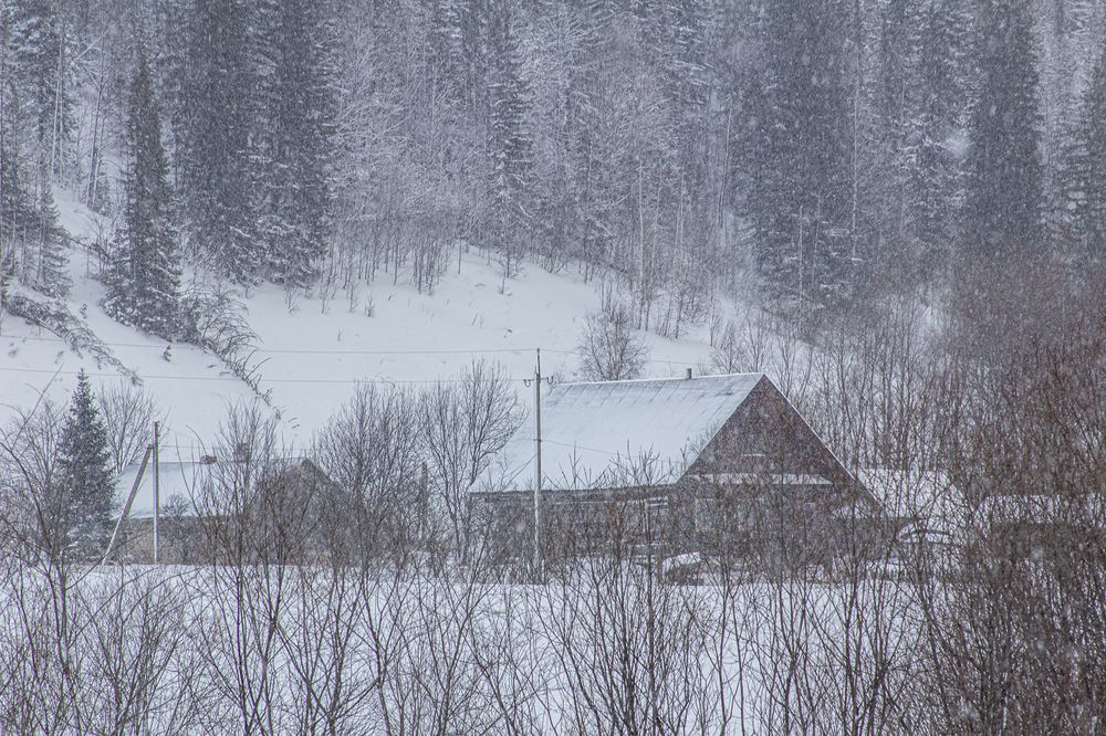 Photograph by Зифа Мингалимова