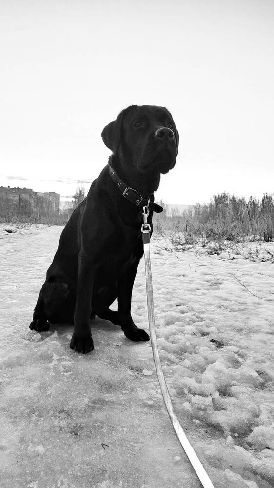 Photograph by Виктория Колышева