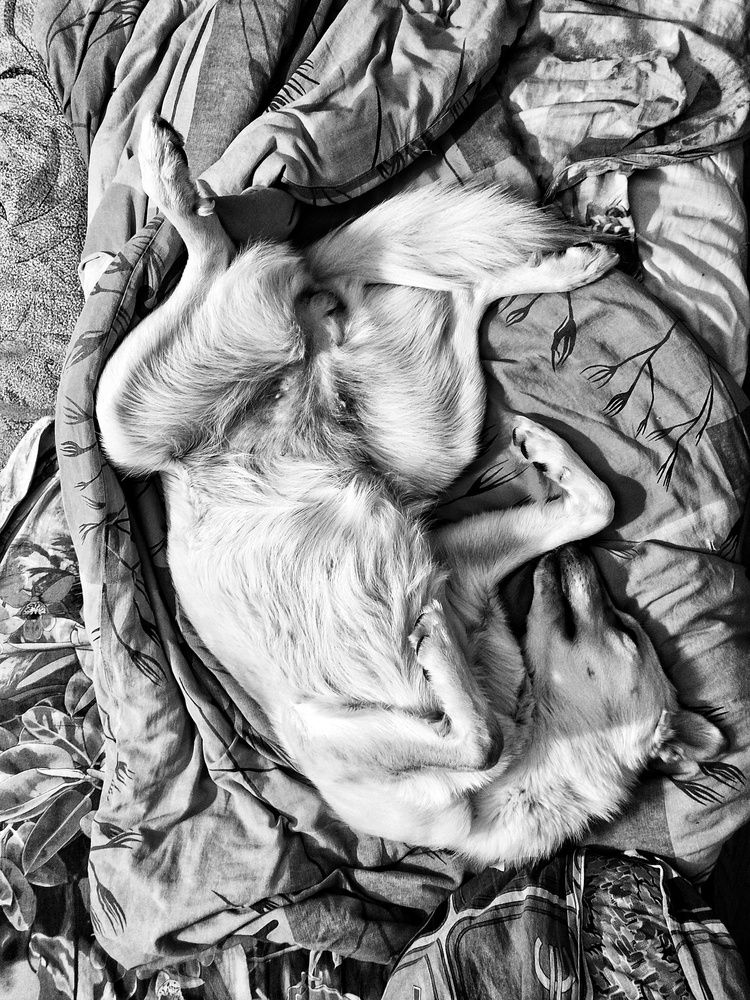 Photograph by Татьяна Абабкова