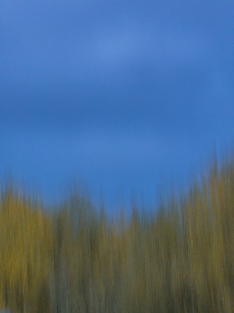 Photograph by Ксения Рейнгардт