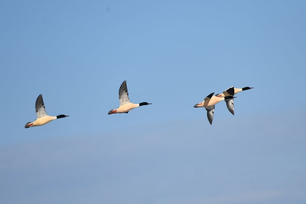 Построение